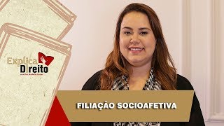 Explica Direito Filiação Socioafetiva  2019 [upl. by Lenes]