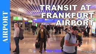 TRANSIT WALK AT FRANKFURT Airport FRA Terminal 1  Connection Flight Transfer Arriving amp Departing [upl. by Ashley448]